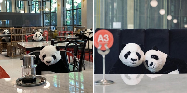Les pandas en peluche de la Maison Saigon, où l'art de dédramatiser la distanciation physique pour amuser et rassurer les clients. 