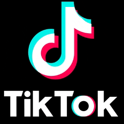 TikTok est LE réseau social en vogue chez les plus jeunes en 2022 !