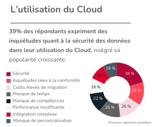 transformation digitale des entreprises françaises : l'utilisation du Cloud laisse les entreprises songeuses