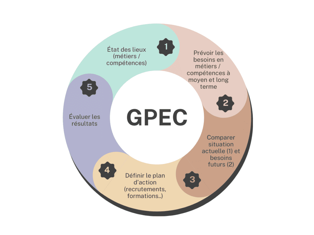 la GPEC comprend 5 grandes étapes : l'état des lieux, la prévision des besoins en compétences, la comparaison entre la situation actuelle et future, la définition du plan d'action et l'évaluation des résultats.