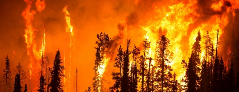 Plan de continuité d'activité (PCA) en cas d'incendie, de cyberattaque... Pourquoi et comment l'adopter ?